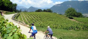 Balade en VTT dans le vignoble en Savoie
